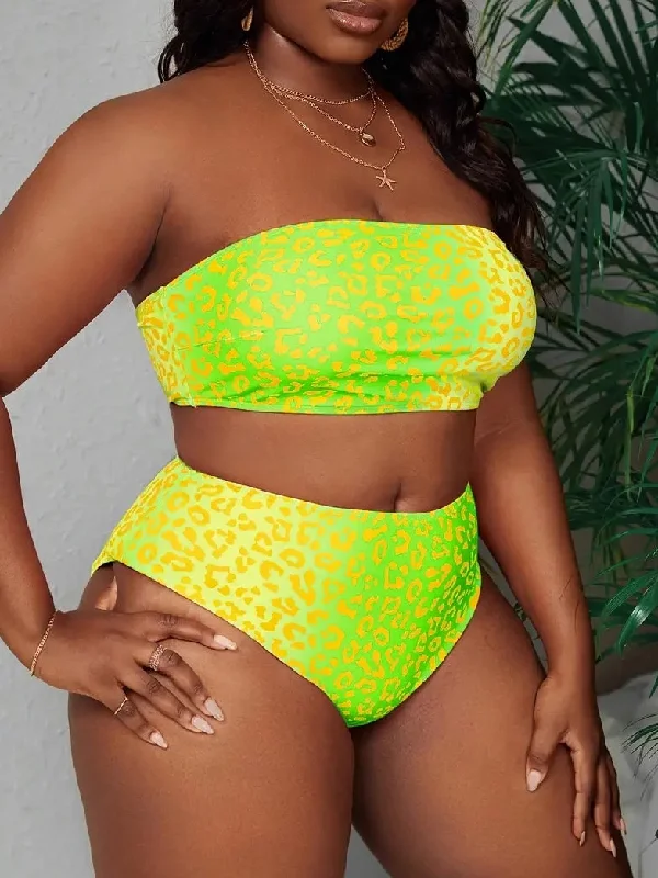 Lexi Plus Size Two Piece Swim Suit